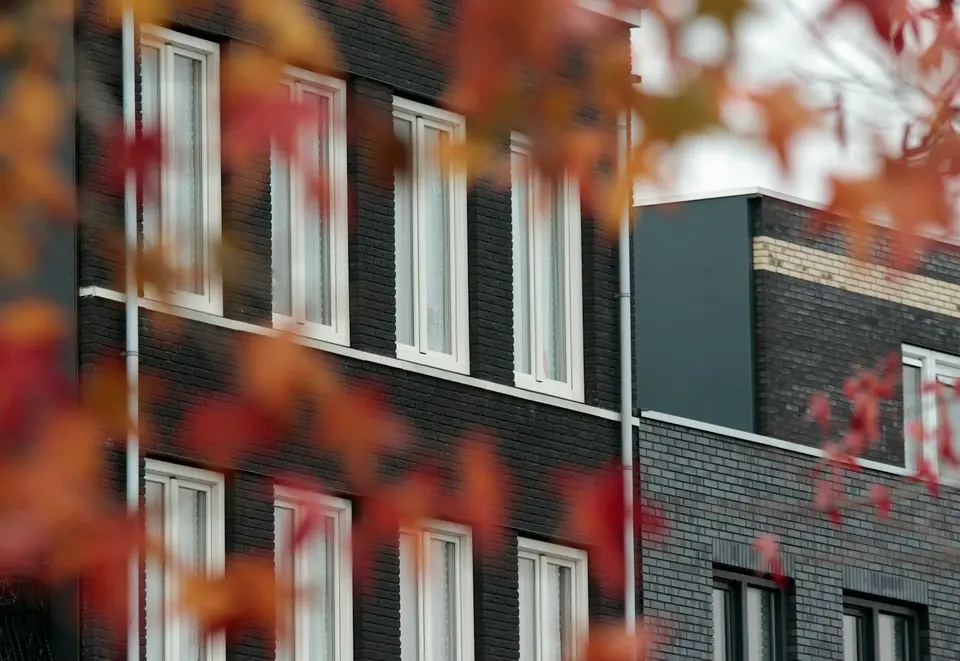 Een nieuwe gevel van donkere baksteen met hoge witte kozijnen, achter herfstbladeren