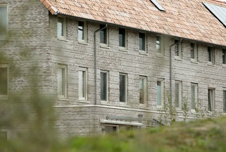Nieuwe rijwoningen van lichte baksteen met een pannendak en een zonnepaneel, achter wild gras